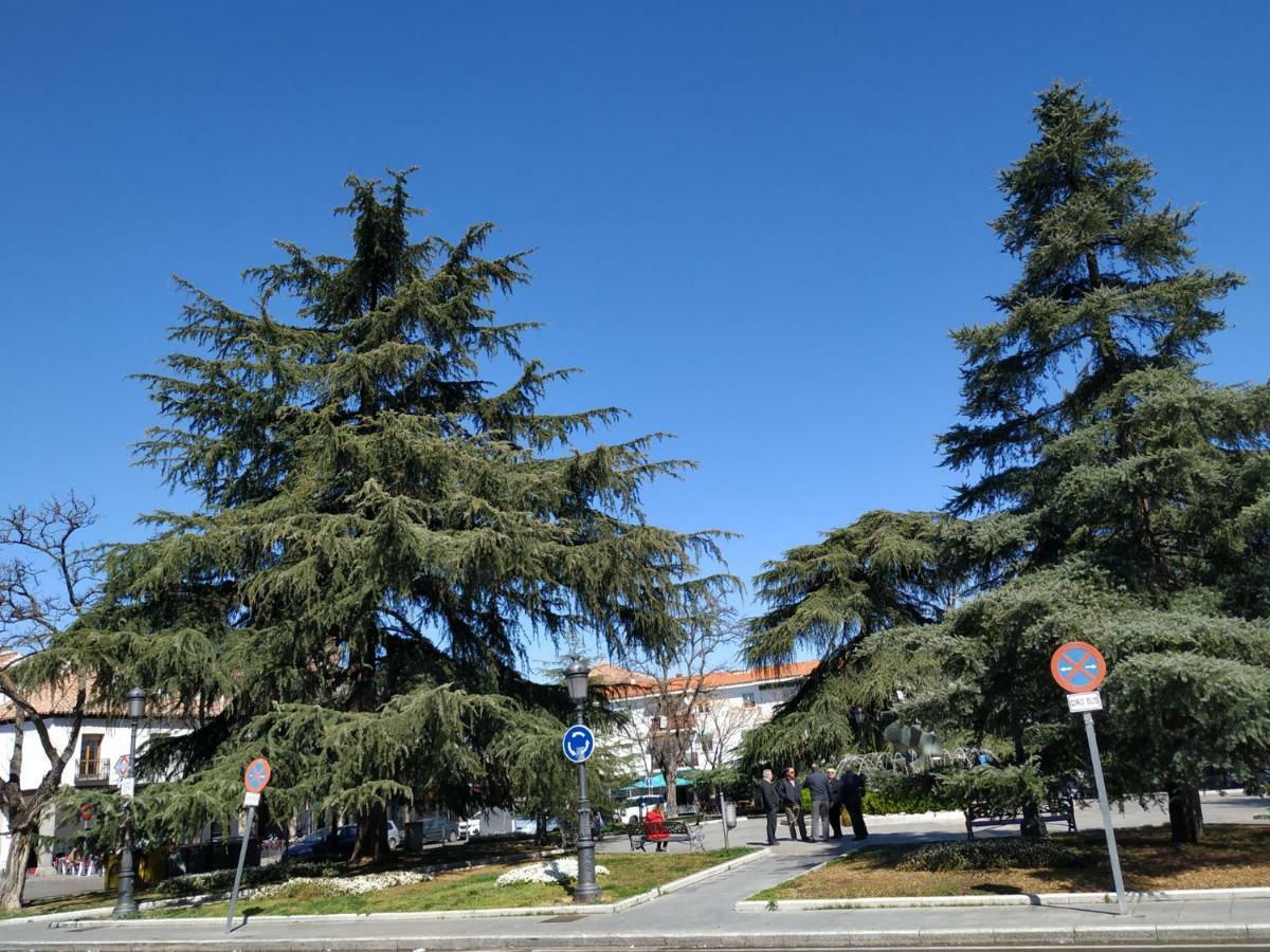Apartamentos Deluxe Barajas 마드리드 외부 사진